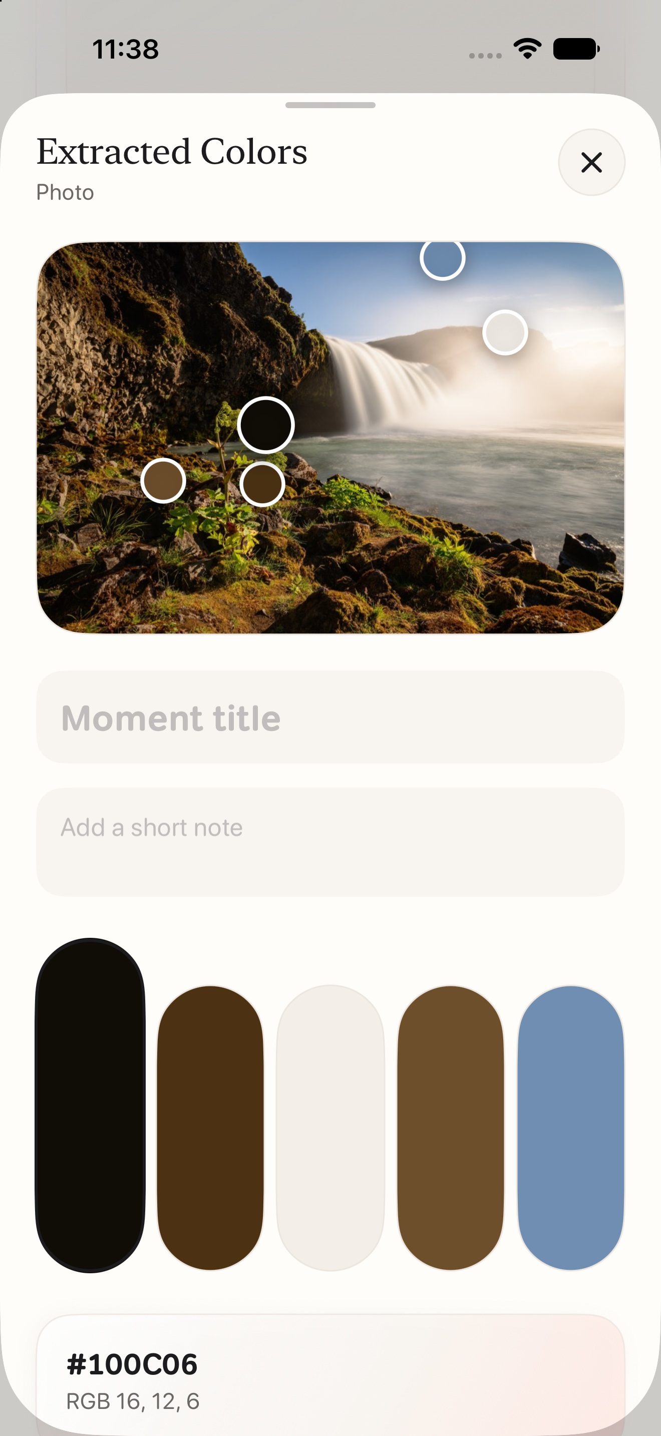 Prism extracted colors interface with a photo and palette swatches